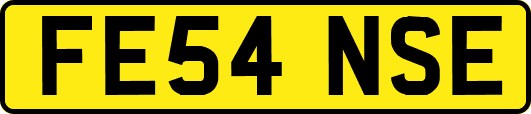 FE54NSE