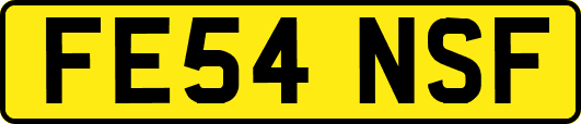FE54NSF