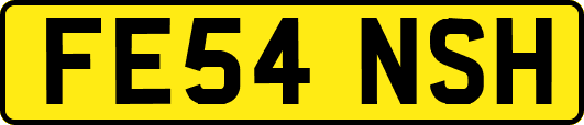 FE54NSH