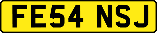 FE54NSJ
