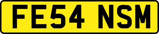 FE54NSM