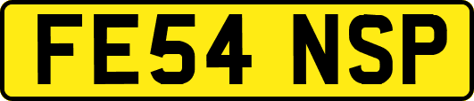 FE54NSP