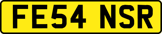 FE54NSR