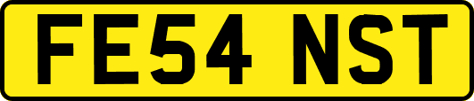 FE54NST