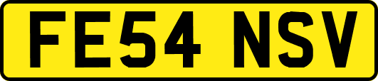 FE54NSV