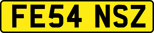 FE54NSZ
