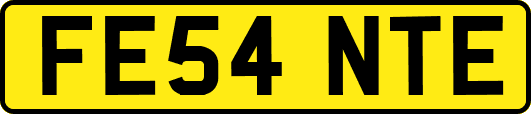 FE54NTE