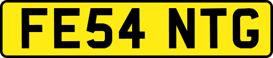 FE54NTG