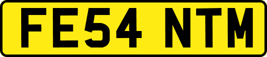 FE54NTM