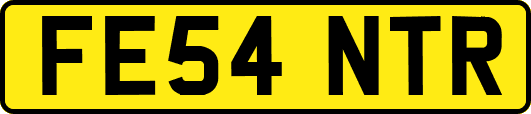 FE54NTR