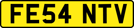 FE54NTV