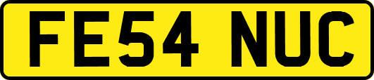 FE54NUC
