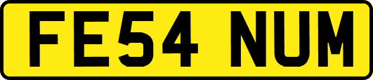 FE54NUM