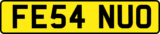 FE54NUO