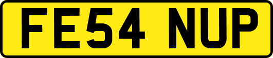 FE54NUP