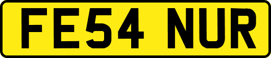 FE54NUR