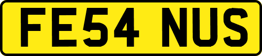 FE54NUS