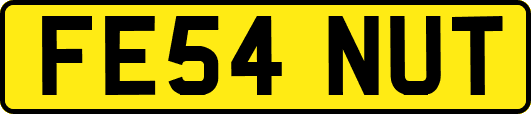 FE54NUT
