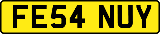FE54NUY