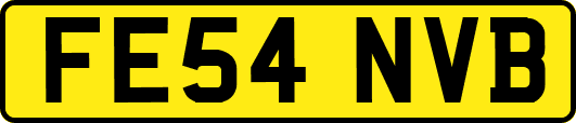 FE54NVB