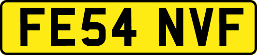 FE54NVF