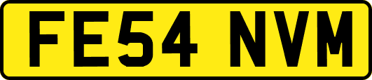 FE54NVM