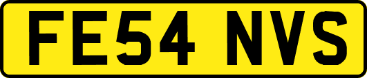 FE54NVS