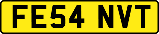 FE54NVT