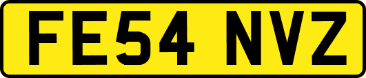 FE54NVZ