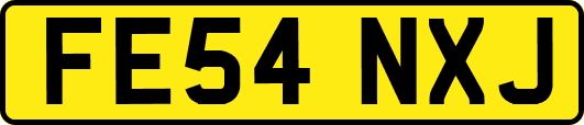FE54NXJ