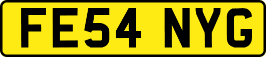 FE54NYG