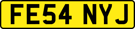 FE54NYJ