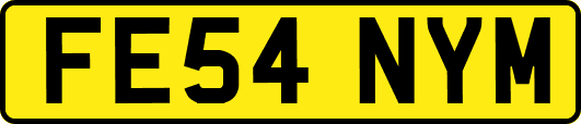 FE54NYM