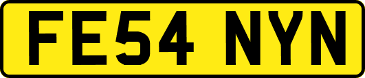 FE54NYN