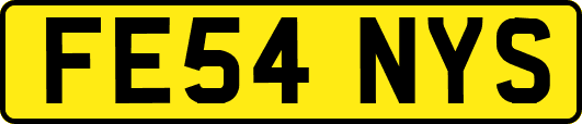FE54NYS