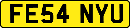 FE54NYU