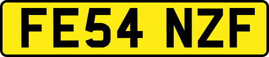 FE54NZF