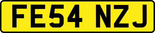 FE54NZJ
