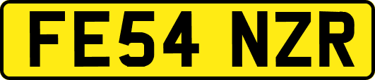 FE54NZR