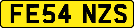FE54NZS