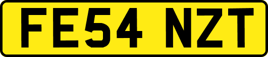 FE54NZT
