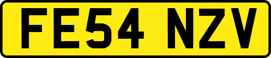 FE54NZV