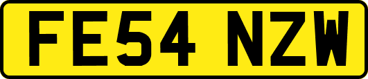 FE54NZW