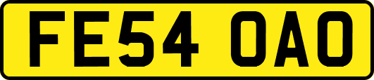 FE54OAO