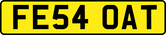 FE54OAT