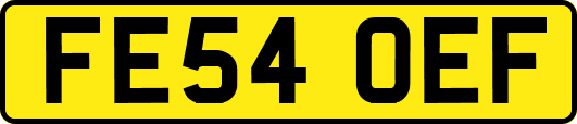 FE54OEF