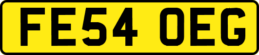 FE54OEG