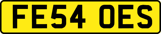 FE54OES