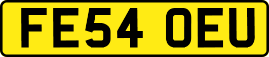 FE54OEU