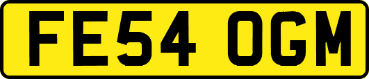 FE54OGM